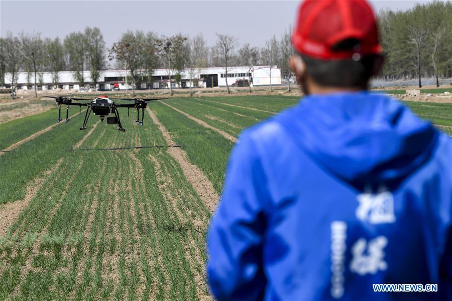 CHINA-NINGXIA-WUZHONG-INTELLIGENT AGRICULTURE (CN)