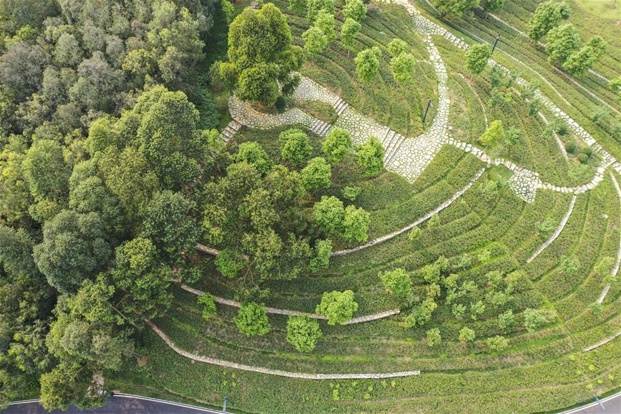 GUANGXI-NANNING-SPRING-VIEW (CN)