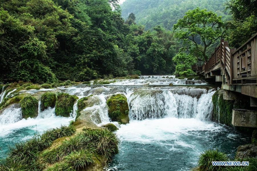 CHINA-GUIZHOU-LIBO-SPRING SCENERY (CN)