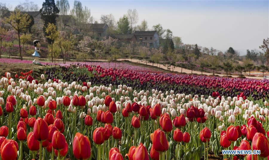 CHINA-SHAANXI-FLORA PARK (CN)