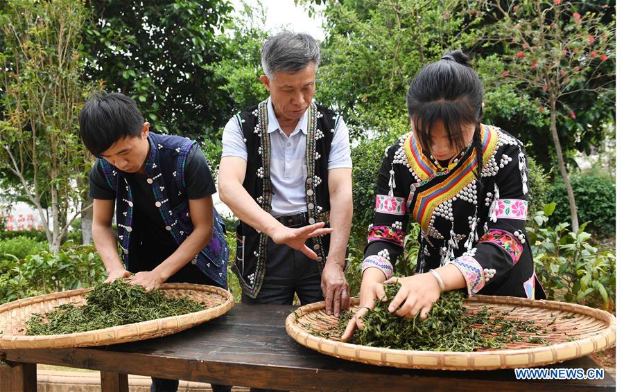 CHINA-YUNNAN-PU'ER TEA-MAKING TECHNIQUE-INHERITOR (CN)