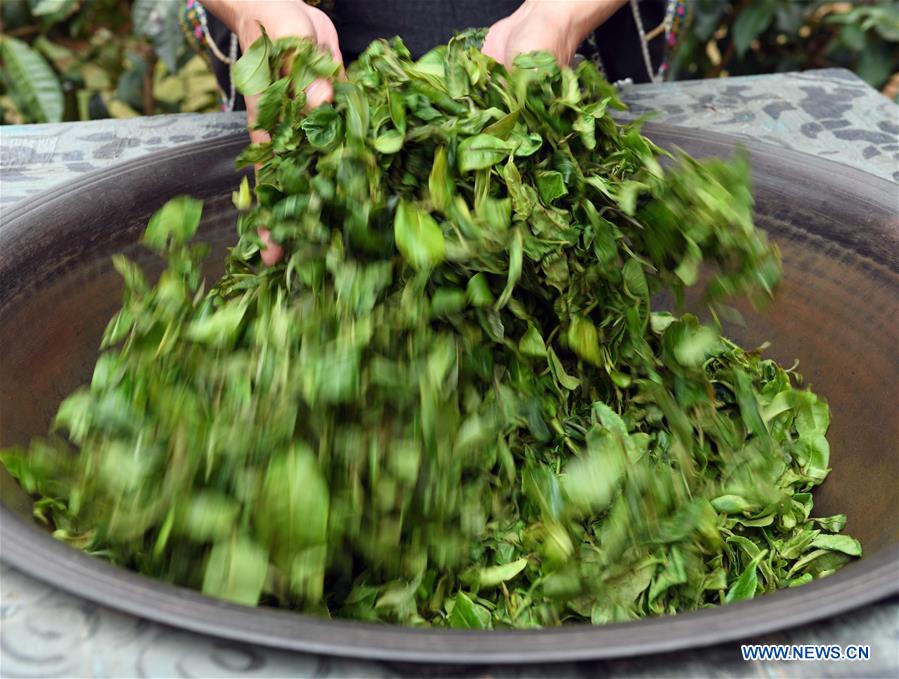 CHINA-YUNNAN-PU'ER TEA-MAKING TECHNIQUE-INHERITOR (CN)