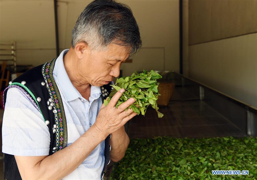 CHINA-YUNNAN-PU'ER TEA-MAKING TECHNIQUE-INHERITOR (CN)