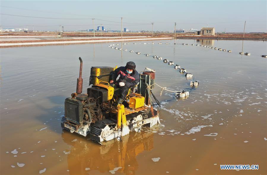 CHINA-HEBEI-TANGSHAN-SALT-HARVEST (CN)