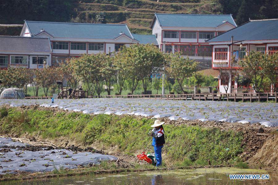 CHINA-GUIZHOU-ZUNYI-POVERTY ALLEVIATION (CN)