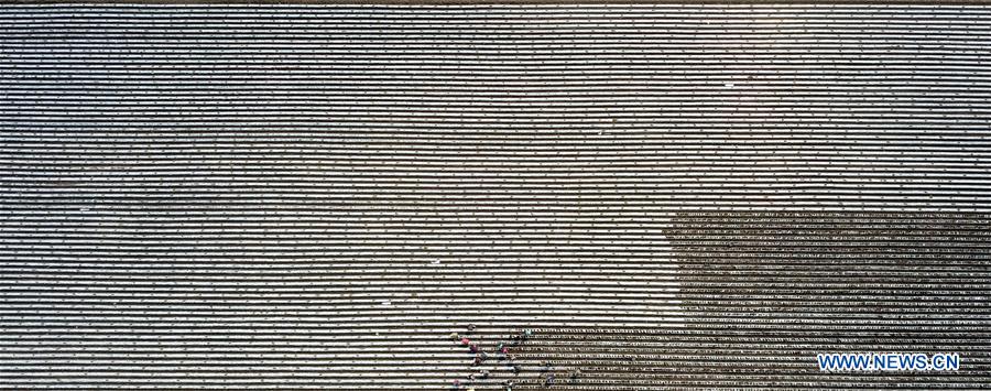 CHINA-HEILONGJIANG-FARMING (CN)