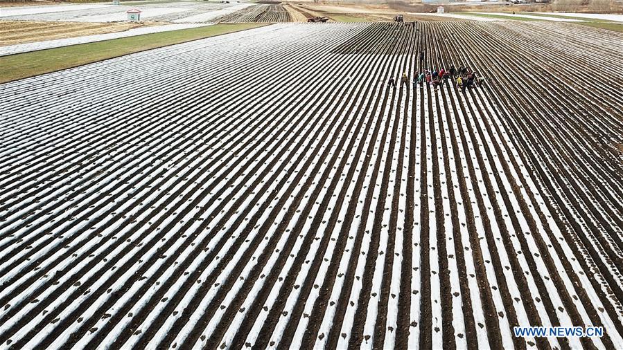 CHINA-HEILONGJIANG-FARMING (CN)