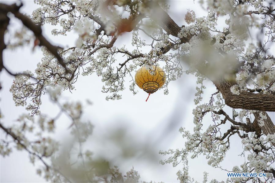 Xinhua Photos Of The Day - Xinhua | English.news.cn