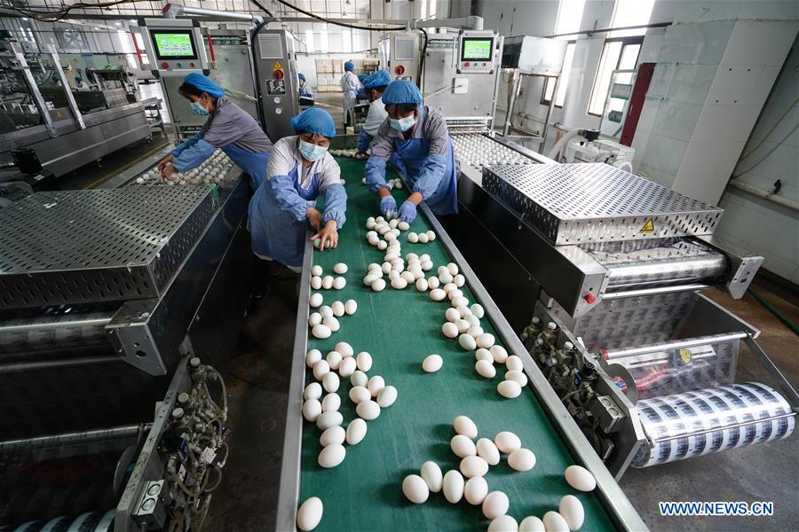 CHINA-JIANGSU-GAOYOU-DUCK EGG-INDUSTRY (CN)