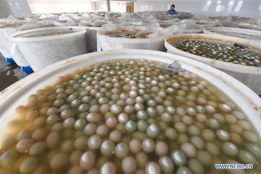 CHINA-JIANGSU-GAOYOU-DUCK EGG-INDUSTRY (CN)