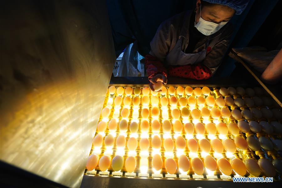 CHINA-JIANGSU-GAOYOU-DUCK EGG-INDUSTRY (CN)