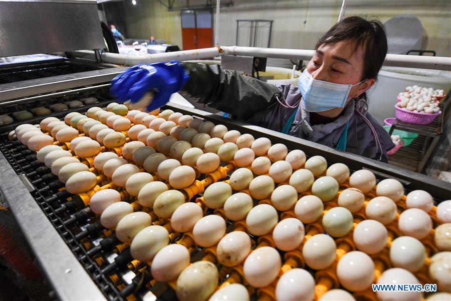 CHINA-JIANGSU-GAOYOU-DUCK EGG-INDUSTRY (CN)