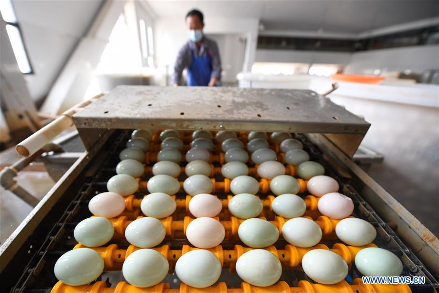 CHINA-JIANGSU-GAOYOU-DUCK EGG-INDUSTRY (CN)