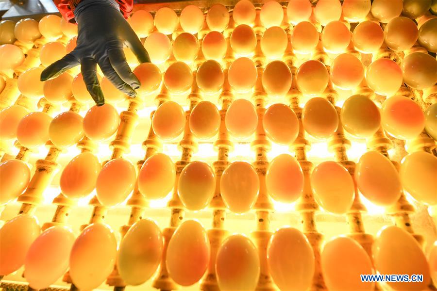 CHINA-JIANGSU-GAOYOU-DUCK EGG-INDUSTRY (CN)