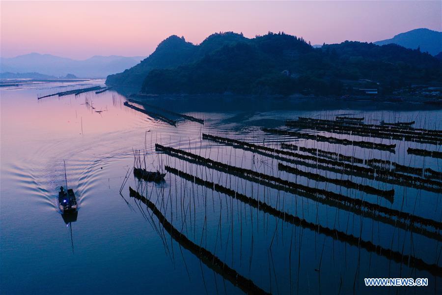 CHINA-FUJIAN-XIAPU-KELP-HARVEST (CN)