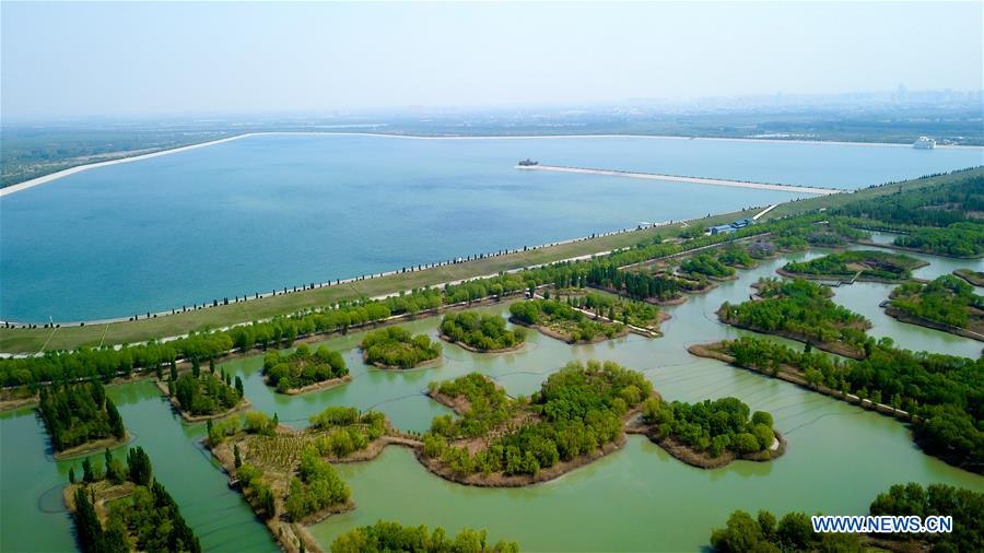 CHINA-SHANDONG-JINAN-WETLAND PARK-SCENERY (CN)