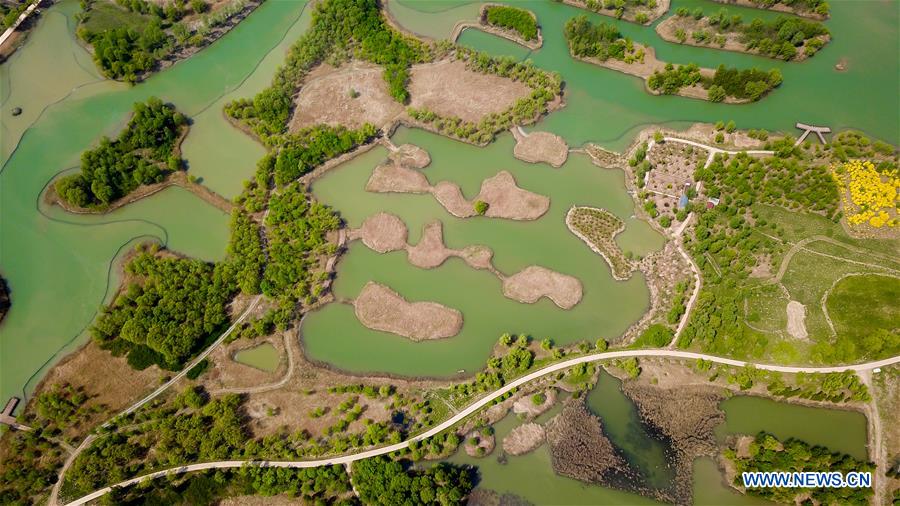 aerial view of jixi national wetland park in jinan, e china