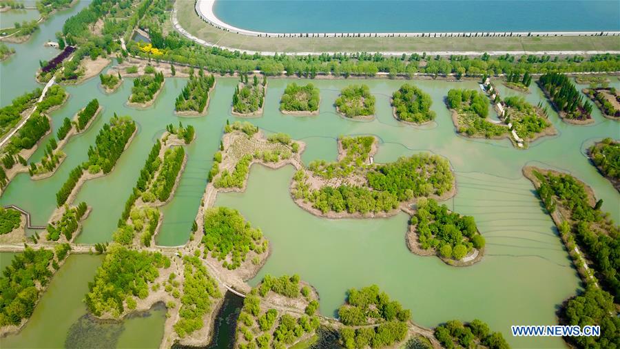 CHINA-SHANDONG-JINAN-WETLAND PARK-SCENERY (CN)