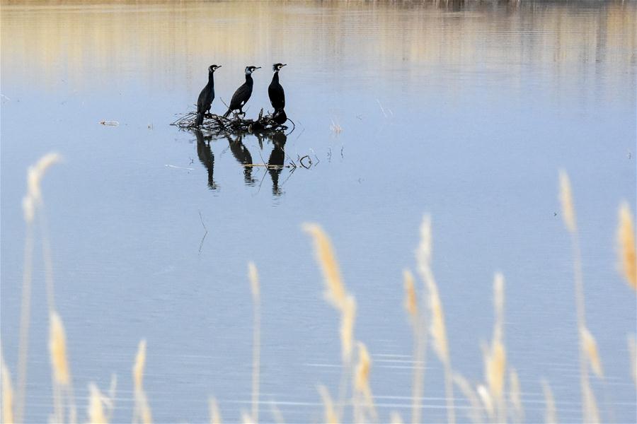 XINHUA PHOTOS OF THE DAY