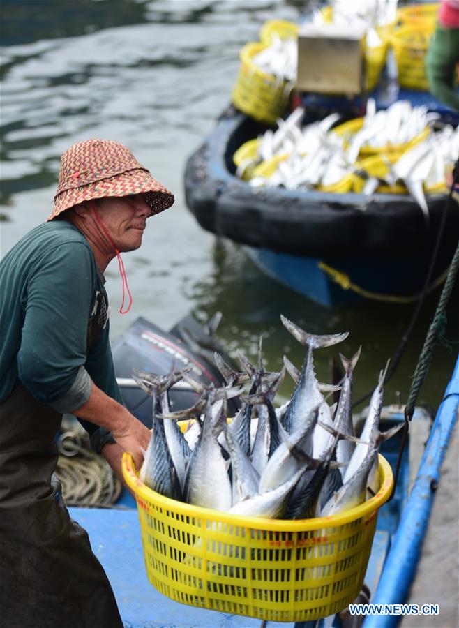 CHINA-HAINAN-QIONGHAI-FISHING-RESUMPTION (CN)