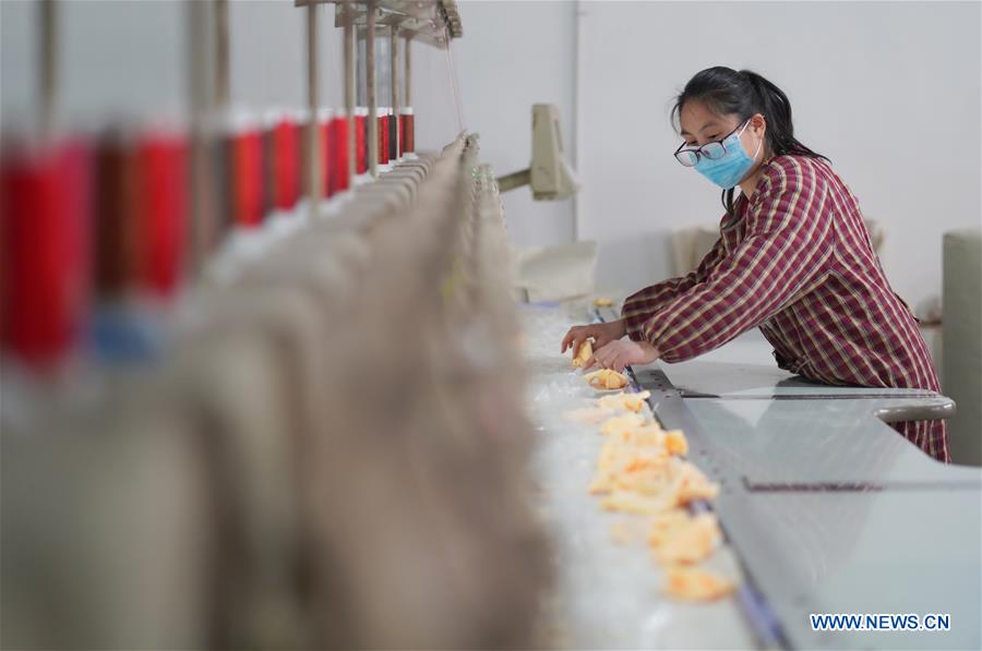 CHINA-HEBEI-POVERTY ALLEVIATION-WORKSHOP-PRODUCTION RESUMPTION(CN)