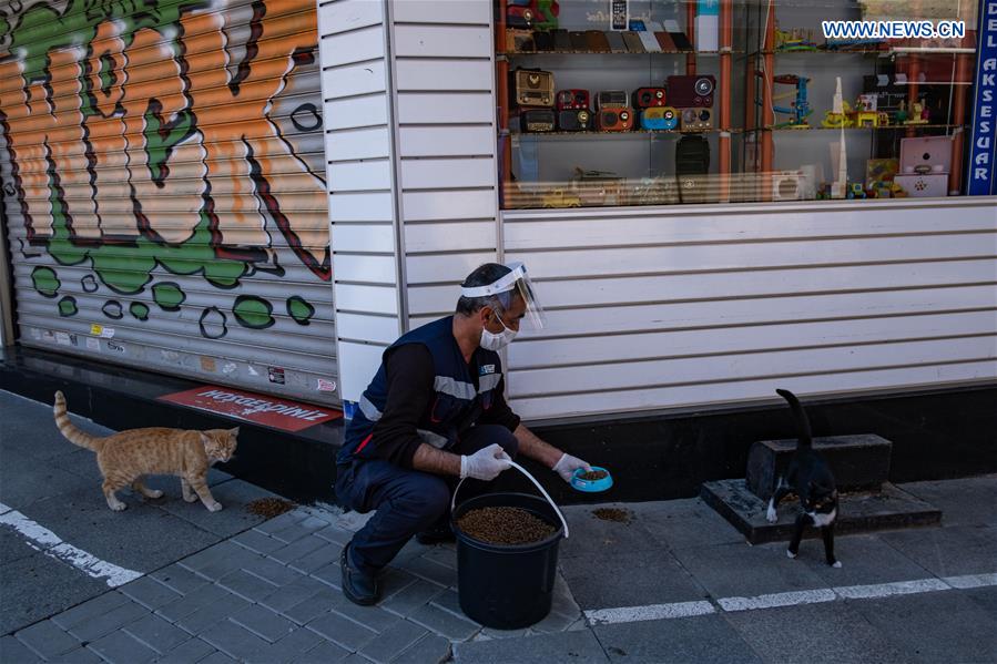 TURKEY-ISTANBUL-COVID-19-STRAY ANIMALS