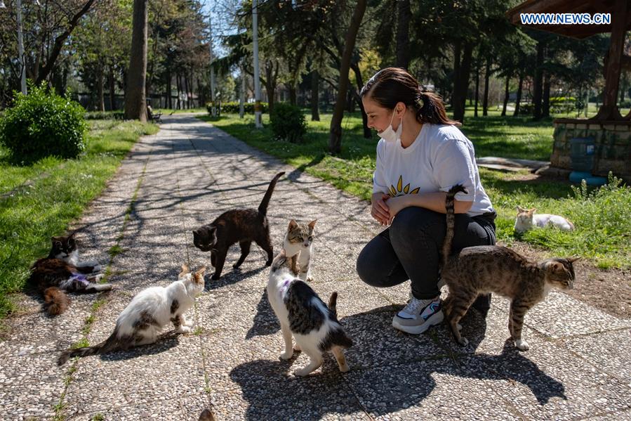 TURKEY-ISTANBUL-COVID-19-STRAY ANIMALS