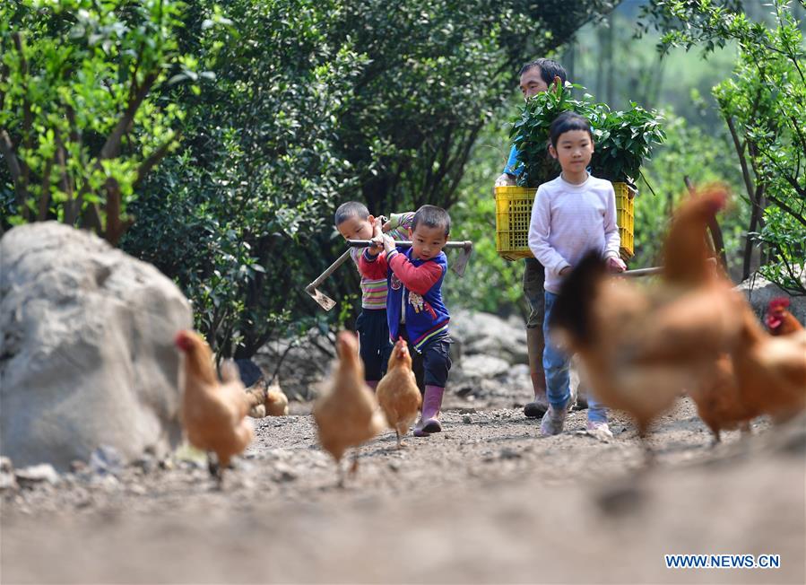 CHINA-GUANGXI-POVERTY RELIEF-DEVELOPMENT (CN)