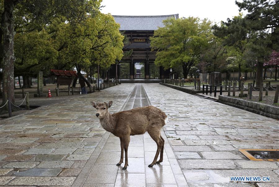 XINHUA PHOTOS OF THE DAY