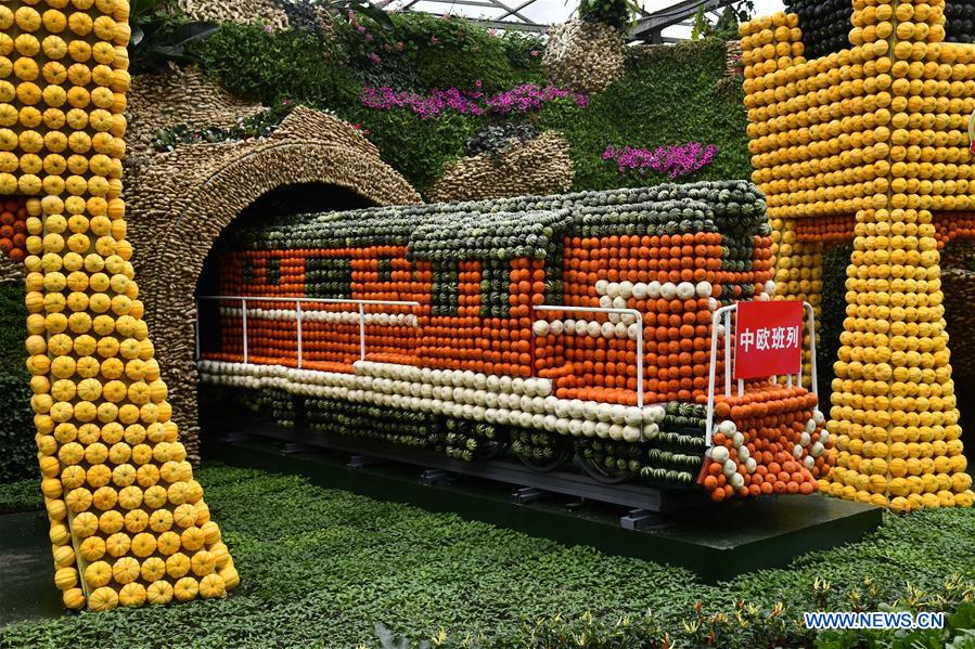 CHINA-SHANDONG-SHOUGUANG-VEGETABLE EXPO (CN)