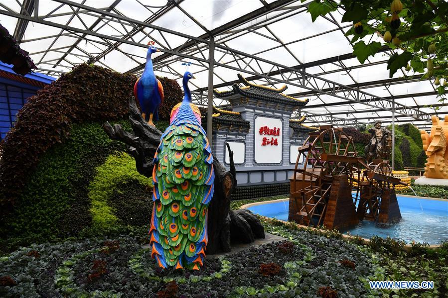 CHINA-SHANDONG-SHOUGUANG-VEGETABLE EXPO (CN)