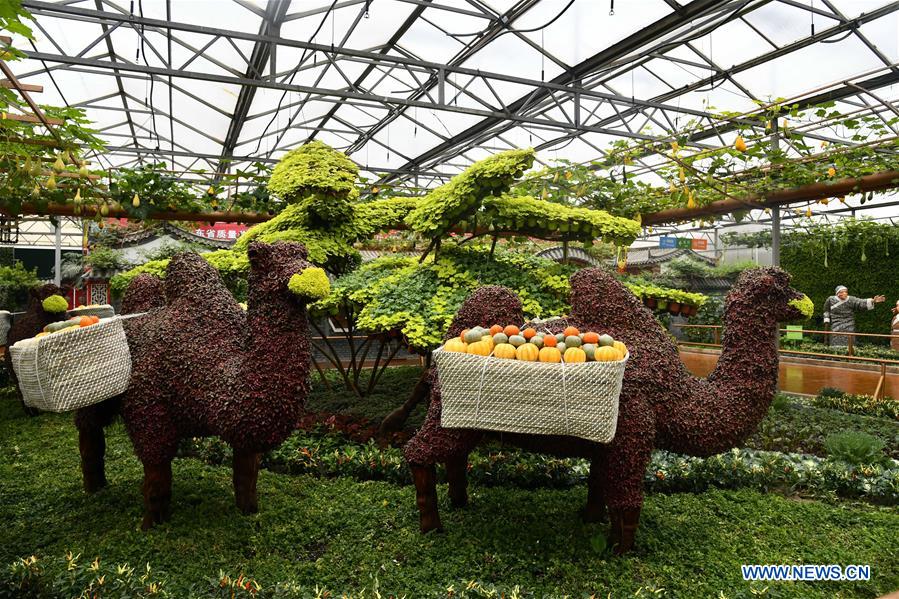 CHINA-SHANDONG-SHOUGUANG-VEGETABLE EXPO (CN)