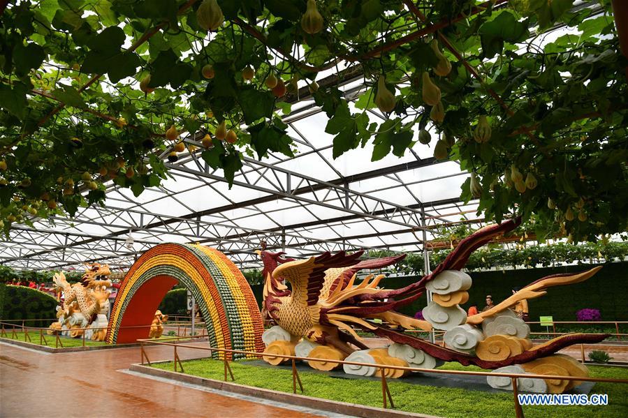 CHINA-SHANDONG-SHOUGUANG-VEGETABLE EXPO (CN)