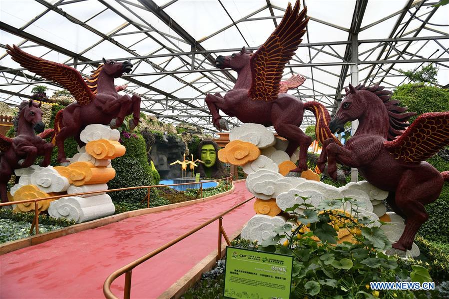 CHINA-SHANDONG-SHOUGUANG-VEGETABLE EXPO (CN)