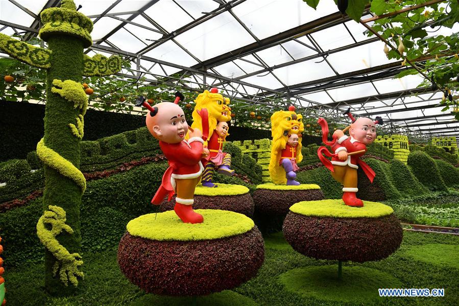 CHINA-SHANDONG-SHOUGUANG-VEGETABLE EXPO (CN)