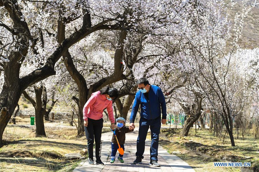 CHINA-INNER MONGOLIA-HOHHOT-SPRING SCENERY (CN)