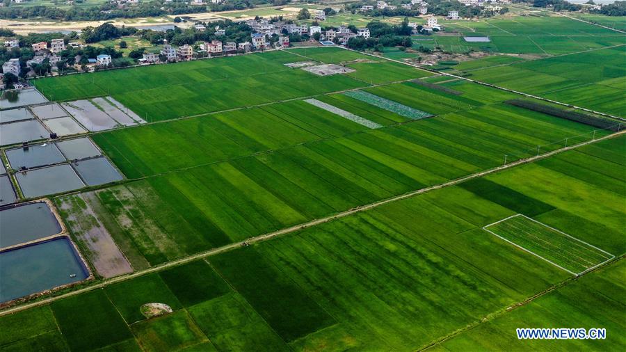 CHINA-GUANGXI-HEPU-SPRING SCENERY (CN)