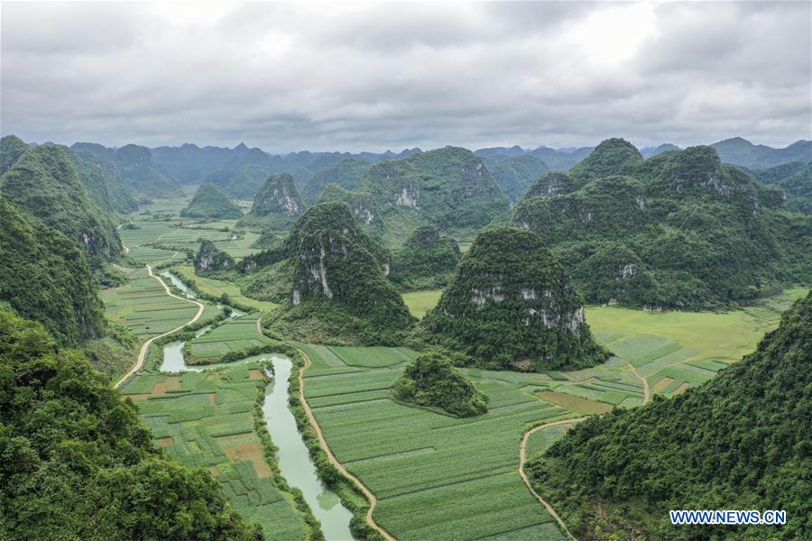 CHINA-GUANGXI-LONGAN-SPRING SCENERY (CN)