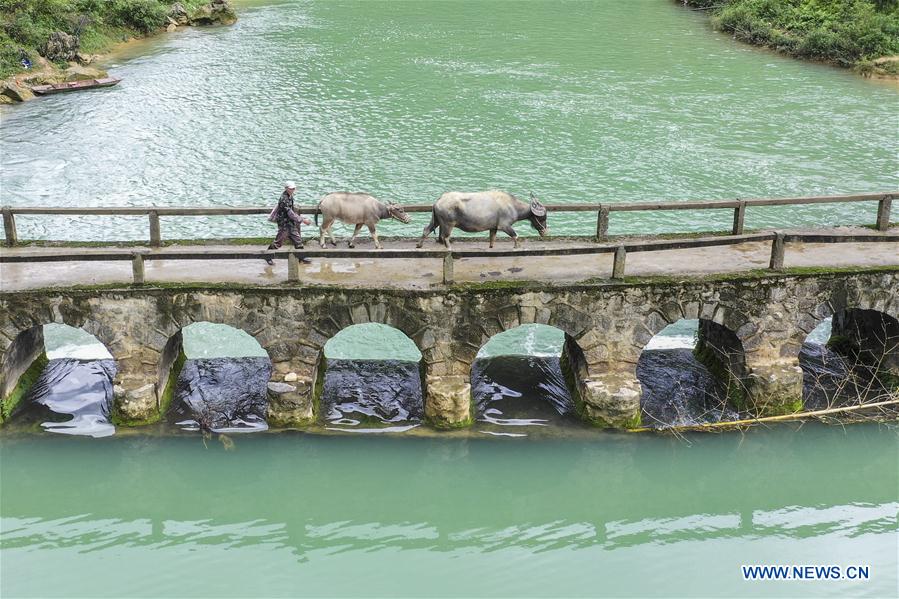 CHINA-GUANGXI-LONGAN-SPRING SCENERY (CN)