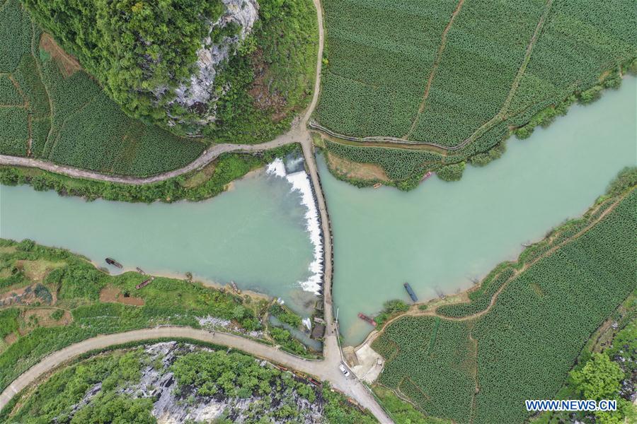 CHINA-GUANGXI-LONGAN-SPRING SCENERY (CN)