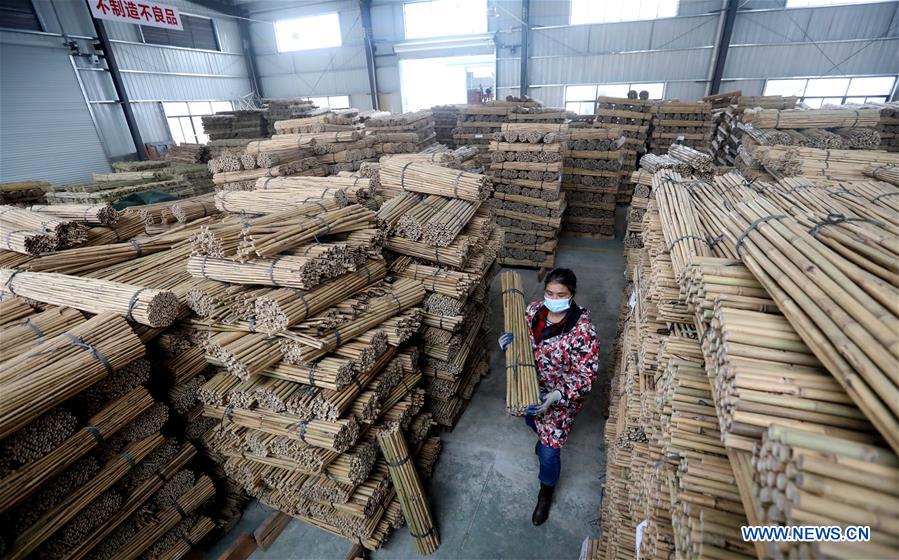 CHINA-GUANGXI-RONGAN-PRODUCTION RESUMPTION (CN)