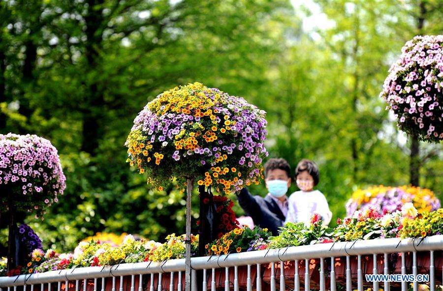 CHINA-SHANGHAI-FLOWER SHOW (CN)