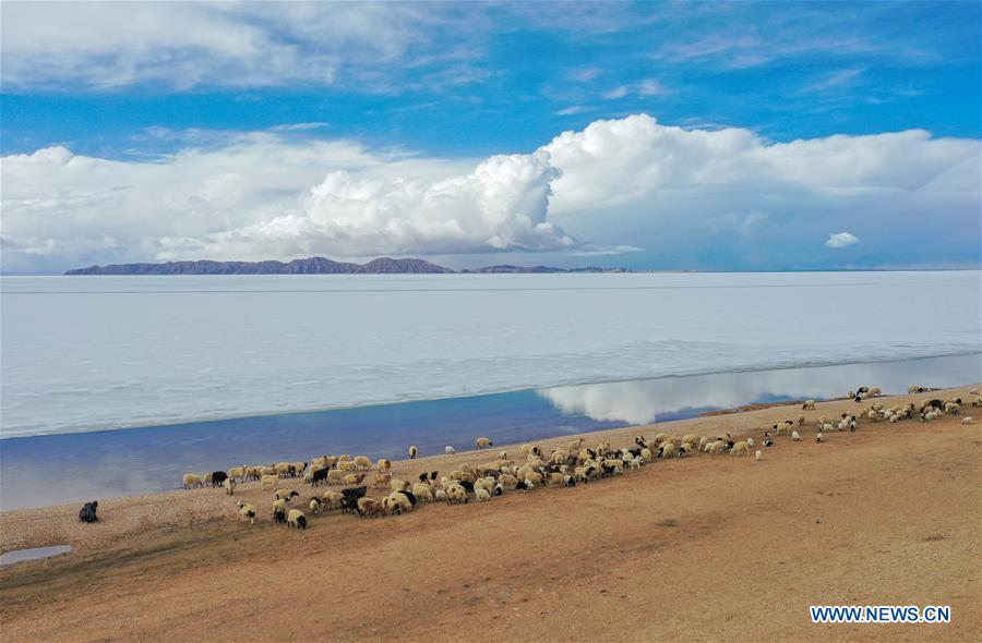 CHINA-TIBET-NAQU-SILING LAKE-SCENERY (CN)