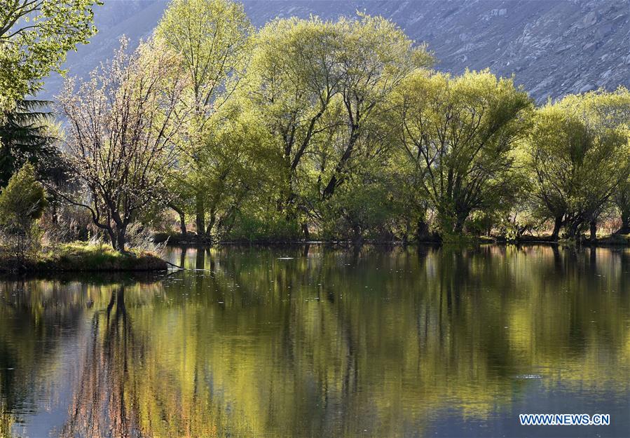 CHINA-TIBET-LHASA-LHALU WETLAND-SCENERY (CN)