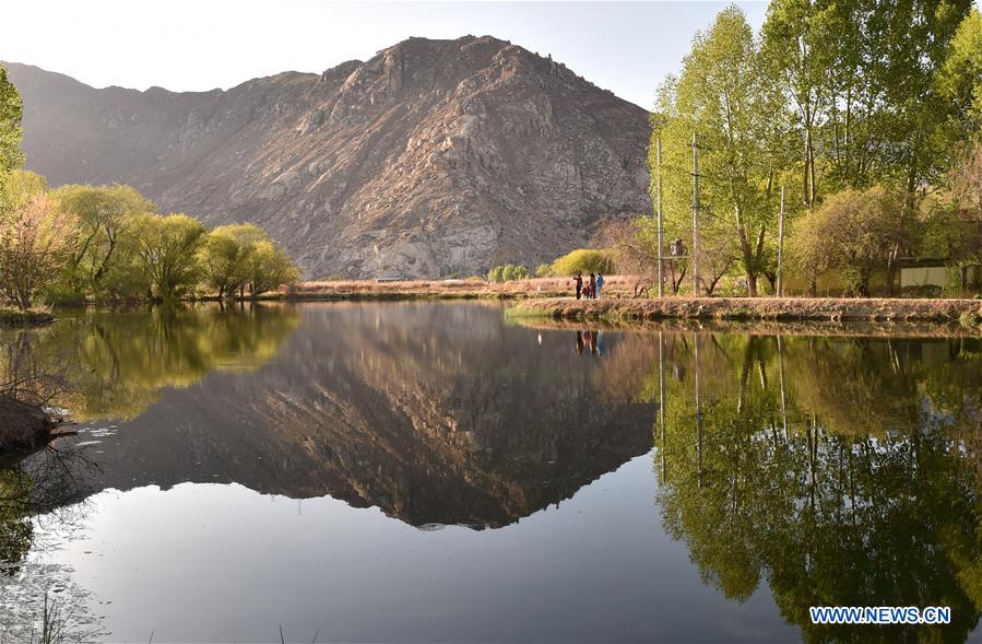 CHINA-TIBET-LHASA-LHALU WETLAND-SCENERY (CN)