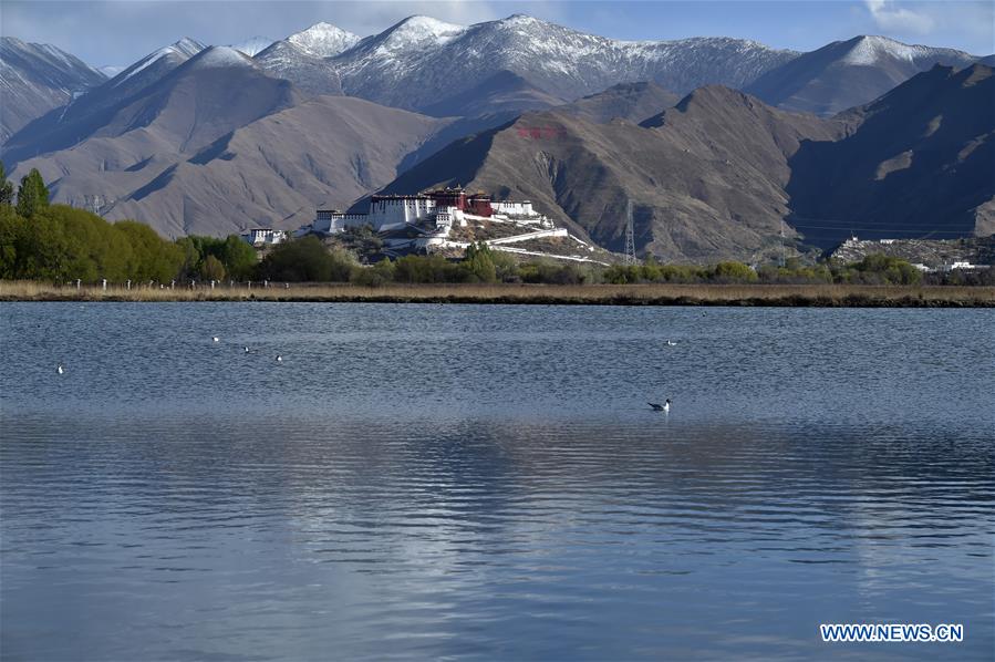 CHINA-TIBET-LHASA-LHALU WETLAND-SCENERY (CN)