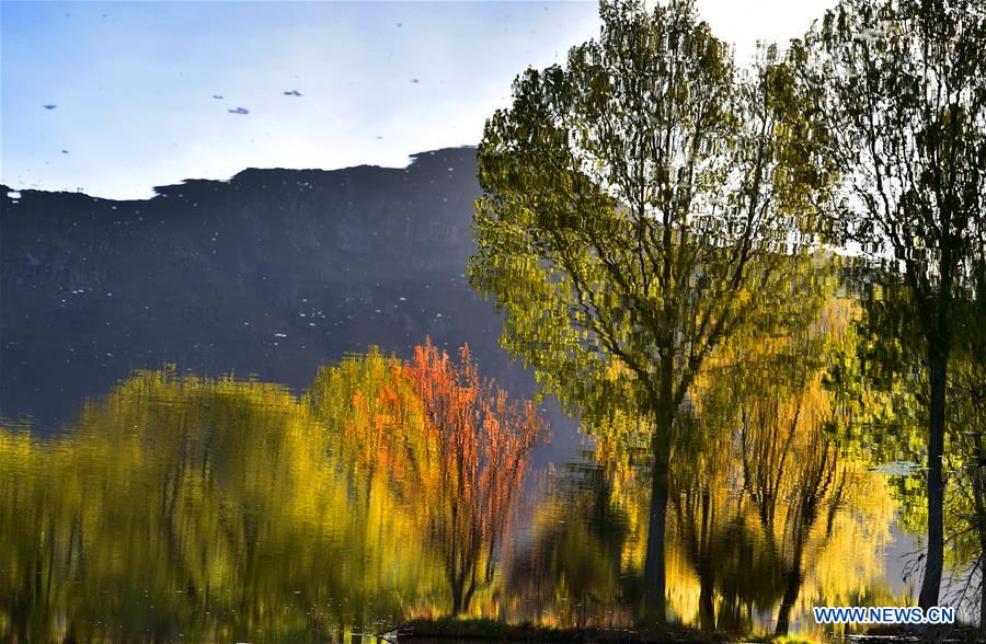 CHINA-TIBET-LHASA-LHALU WETLAND-SCENERY (CN)