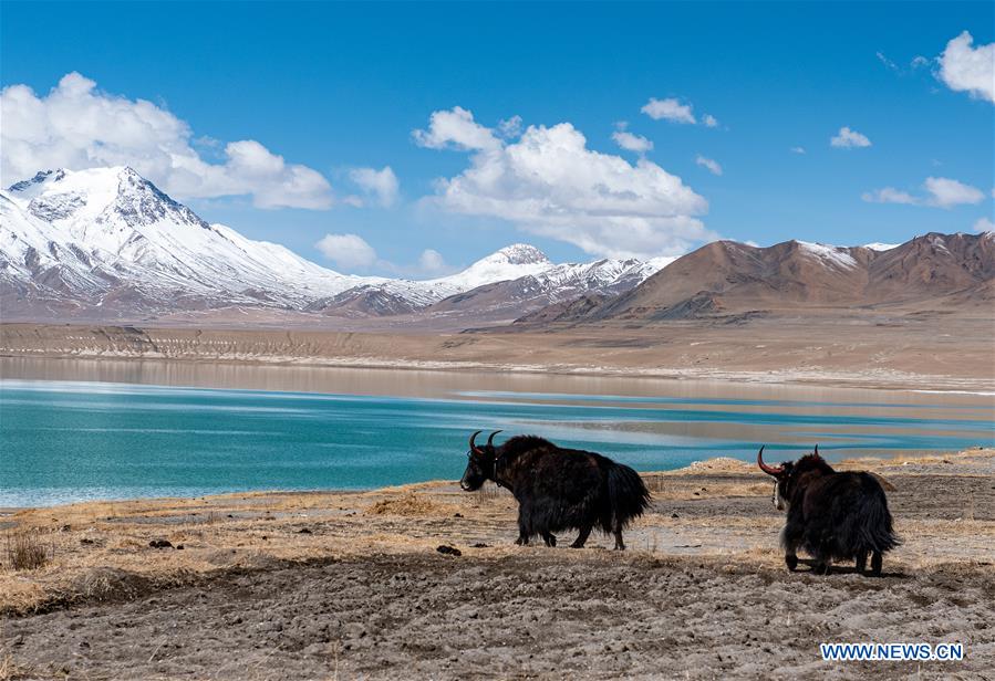 CHINA-TIBET-TANGQUNG CO-SCENERY (CN)