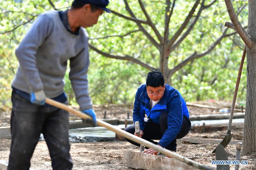 CHINA-GANSU-ZHOUQU-AGRICULTURAL PRODUCTS (CN)