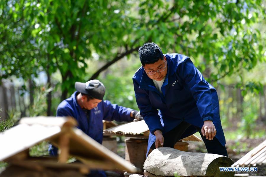 CHINA-GANSU-ZHOUQU-AGRICULTURAL PRODUCTS (CN)